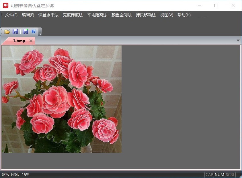 南宫28NG相信品牌力量影像真伪判断系统